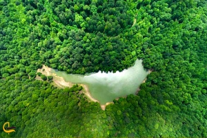 زندگی در مرز جنگل و شهر