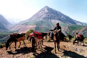 ییلاق چیست
