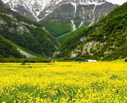 دشت دریاسر؛ بهشت اردیبهشت ایران را بشناسید