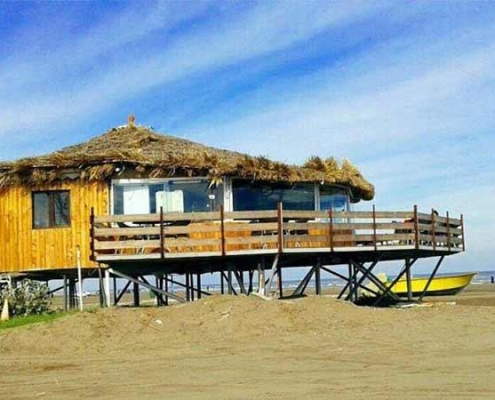 نور؛ سفر به شهر جنگلهای هیرکانی و سواحل زیبای خزر