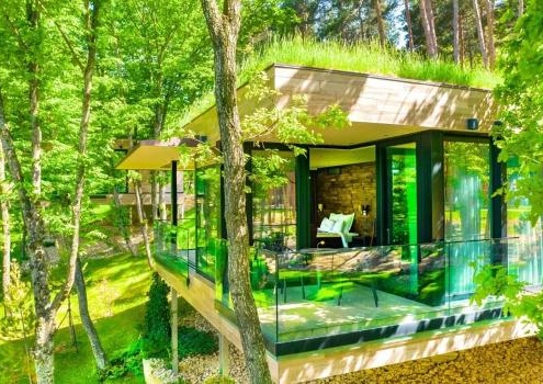 مزایای اقامت در محیطهای جنگلی
