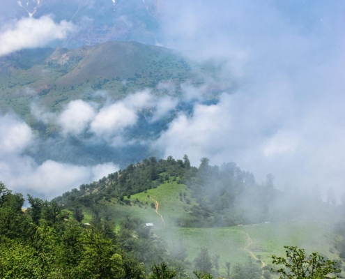 جنگل مازیچال؛ ییلاقی رویایی در نزدیکی کلاردشت