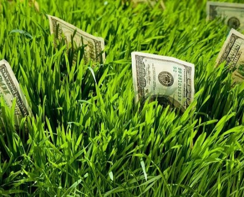 عوامل مؤثر بر قیمت زمین