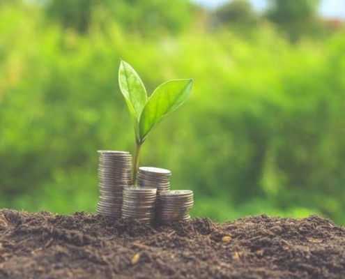 چگونه زمین ارزشمند را تشخیص دهیم؟