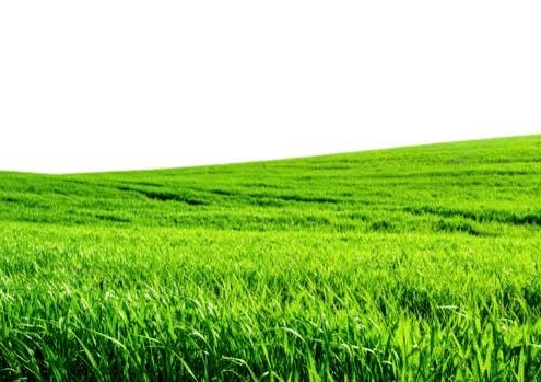 آینده بازار زمین در شمال چگونه است؟
