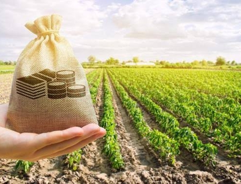 چه مناطقی آینده رشد بیشتری دارند؟