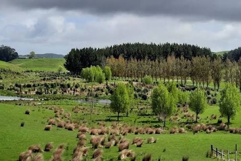 بررسی سود خرید زمین در شمال