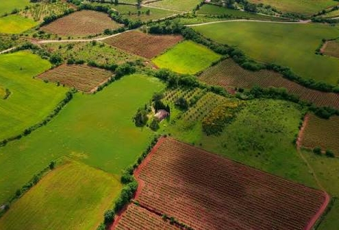 آیا خرید زمین در شمال سرمایهگذاری خوبی است؟