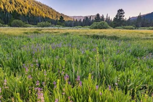 خرید زمین مشاع چه نکاتی دارد؟