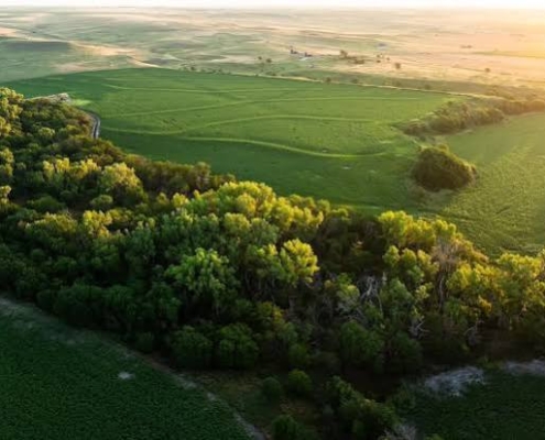 صفر تا صد خرید زمین برای افراد مبتدی