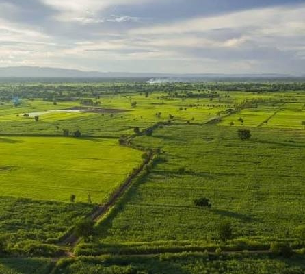 مراحل قانونی خرید زمین در شمال