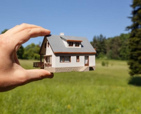 خرید زمین در شمال برای سرمایه‌گذاری؛ از کجا شروع کنیم؟